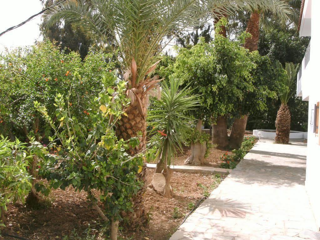 Ifigenia Apartments Hersonissos  Dış mekan fotoğraf
